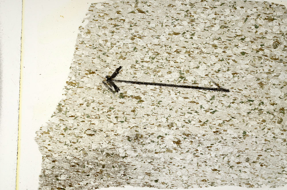 Plane Polarized, S89764