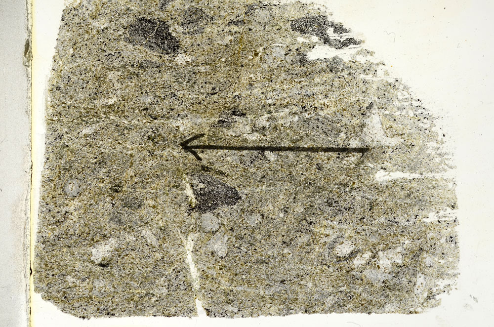 Plane Polarized, S89765