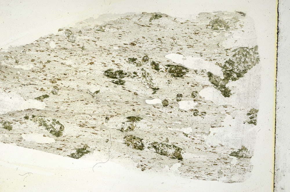Plane Polarized, S89766