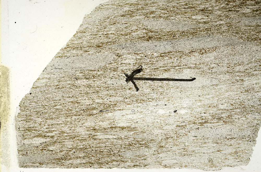 Plane Polarized, S89767