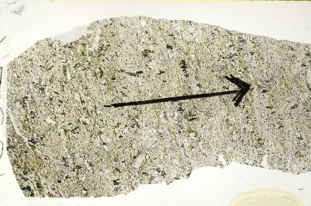Plane Polarized, S89769