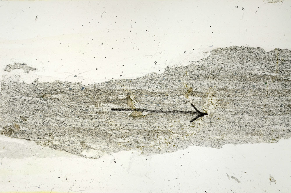 Plane Polarized, S89772