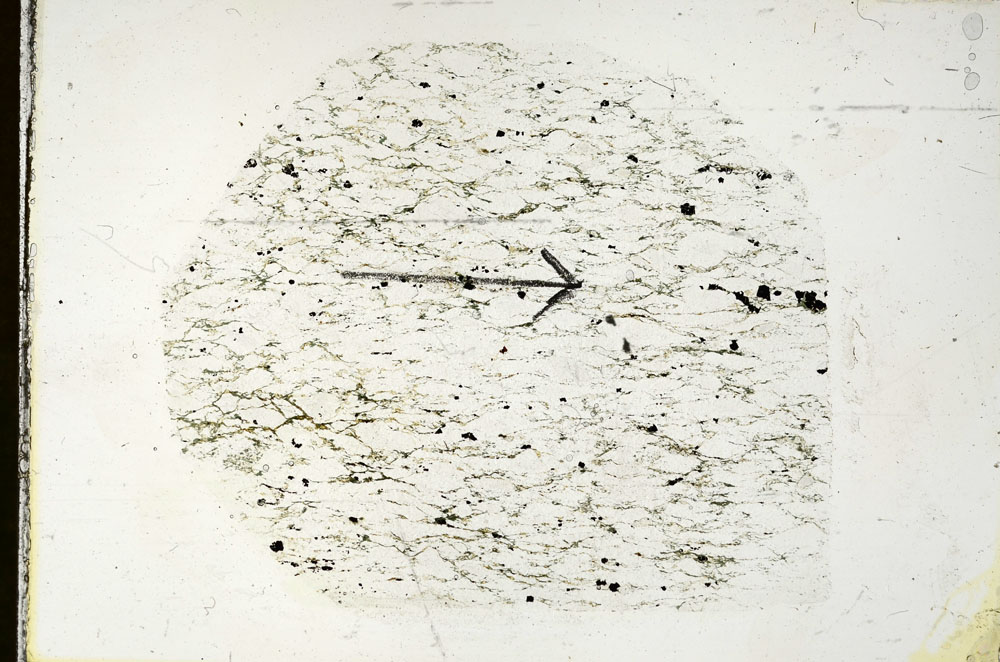 Plane Polarized, S89773