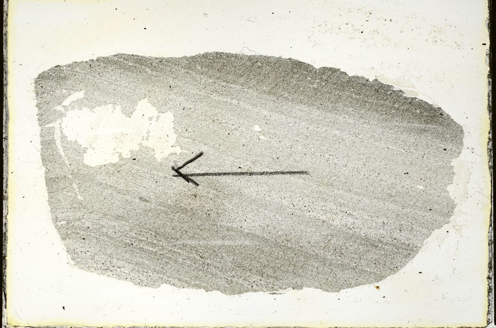 Plane Polarized, S89776