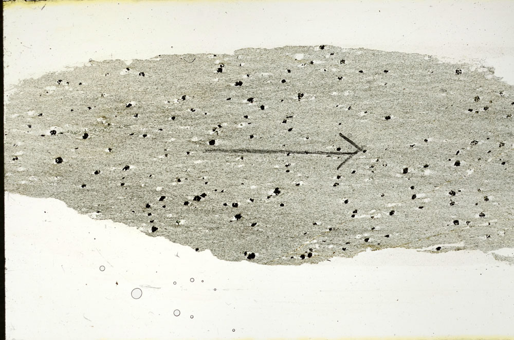 Plane Polarized, S89780