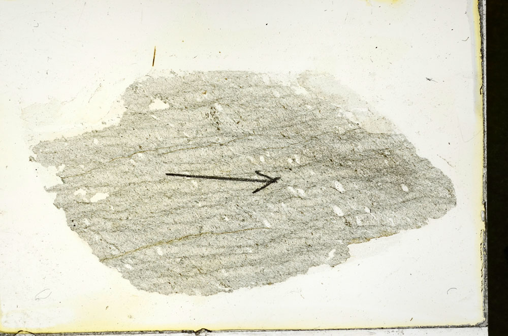 Plane Polarized, S89782