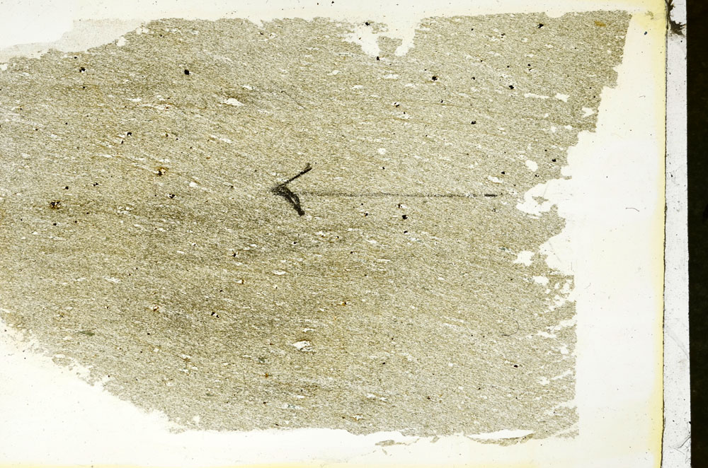 Plane Polarized, S89783