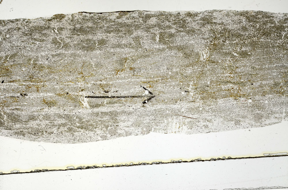 Plane Polarized, S89784