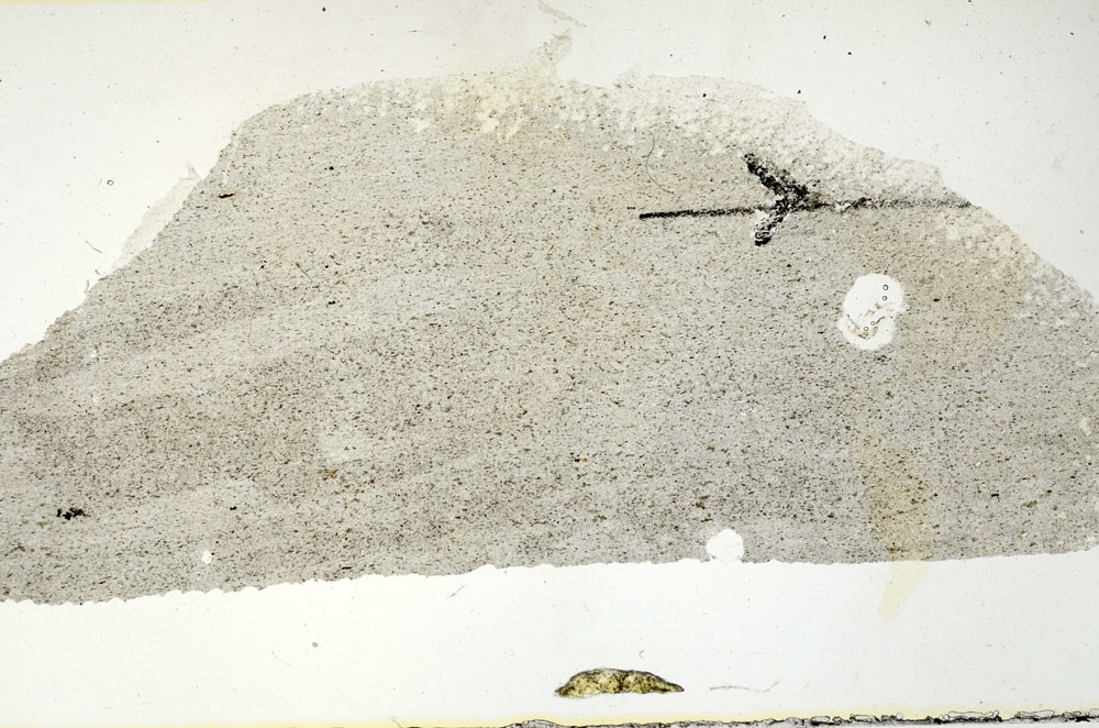 Plane Polarized, S89785