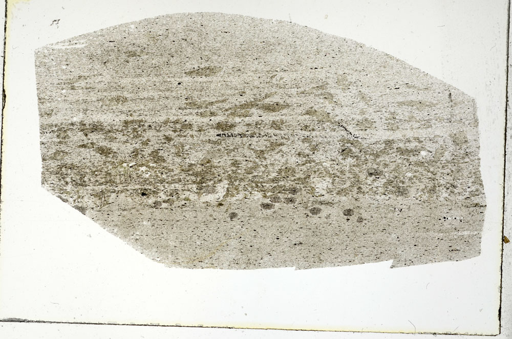 Plane Polarized, S89788