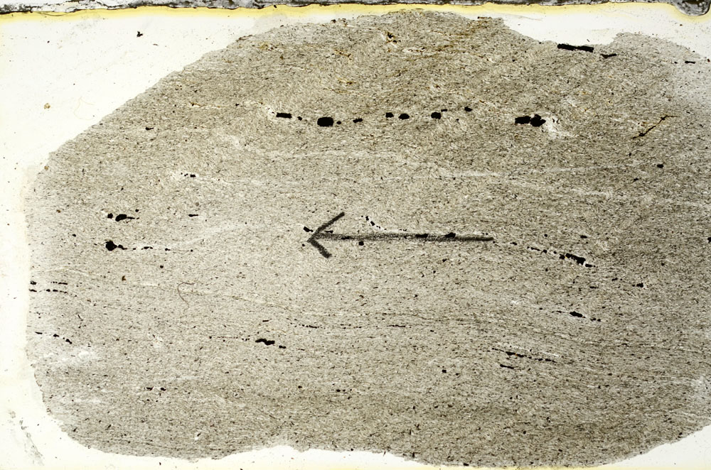Plane Polarized, S89789