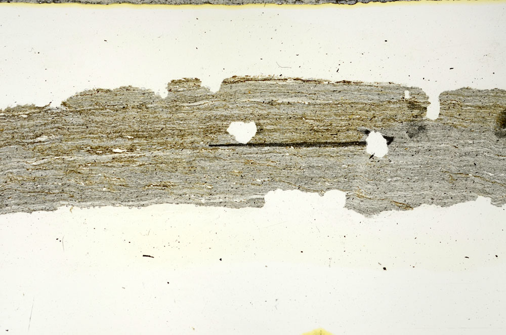 Plane Polarized, S89791