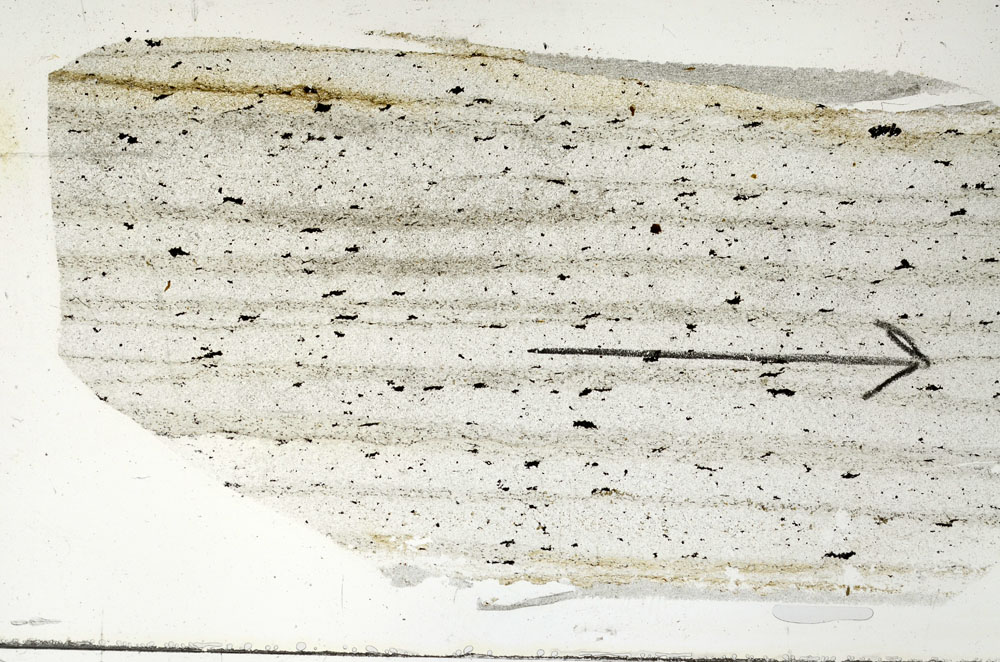 Plane Polarized, S89792