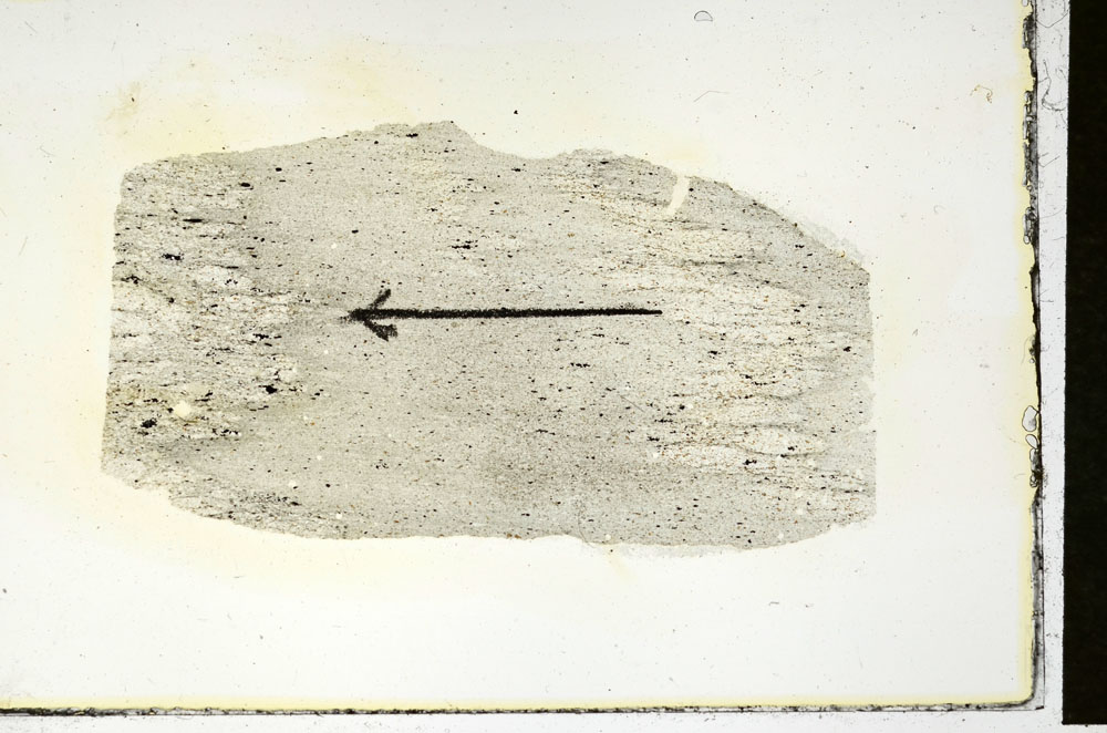 Plane Polarized, S89793