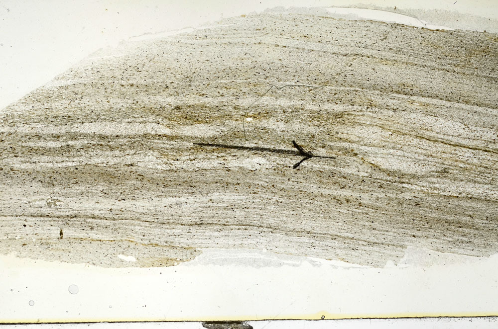 Plane Polarized, S89795