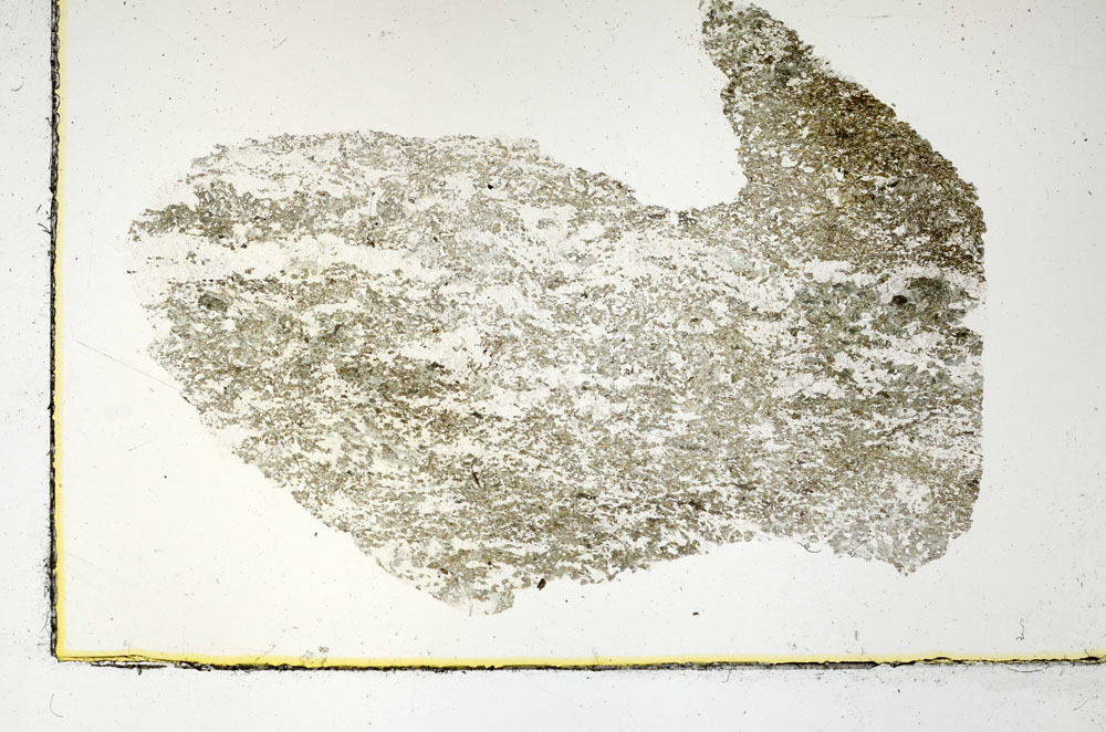 Plane Polarized, S89799