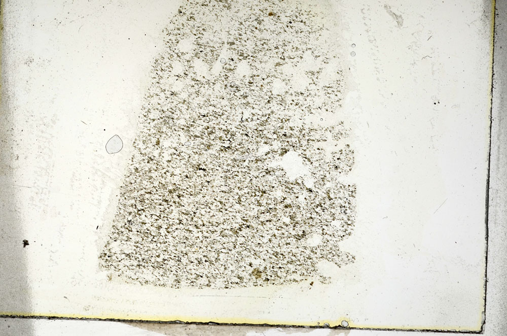Plane Polarized, S89806