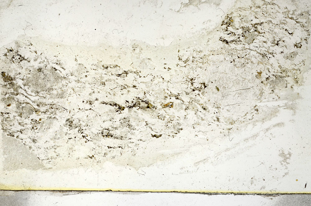 Plane Polarized, S89808