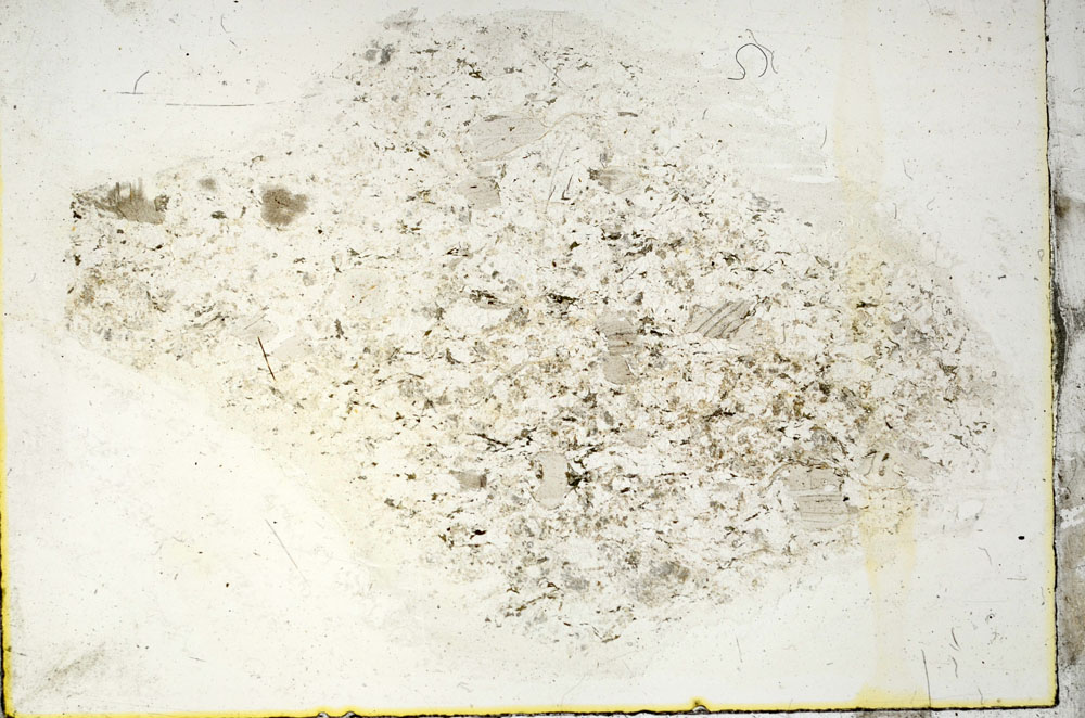 Plane Polarized, S89810