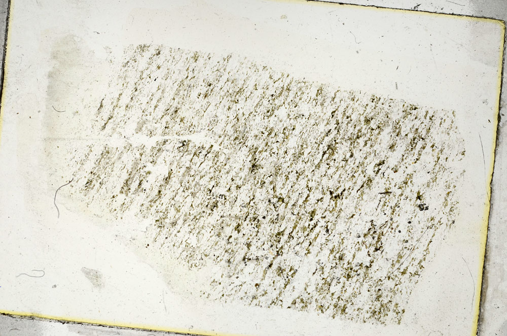 Plane Polarized, S89811