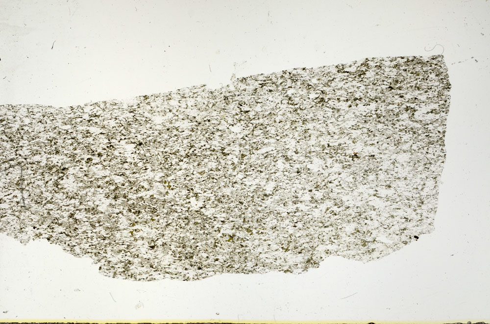 Plane Polarized, S89813