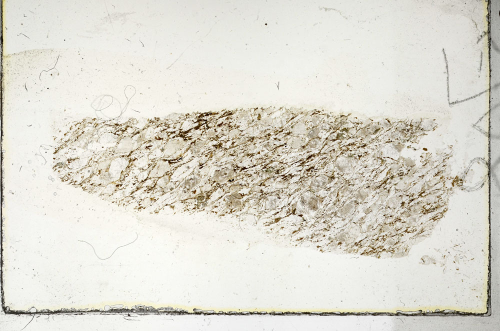 Plane Polarized, S89814