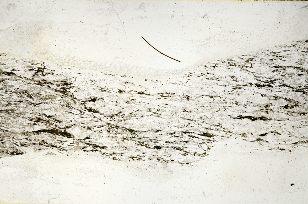 Plane Polarized, S89820