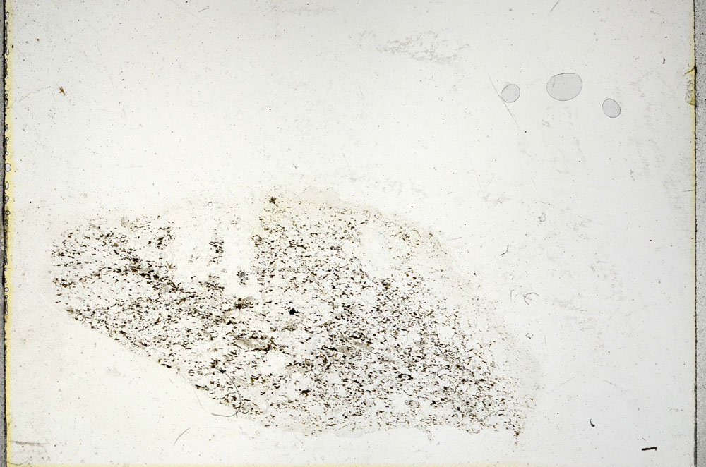 Plane Polarized, S89822