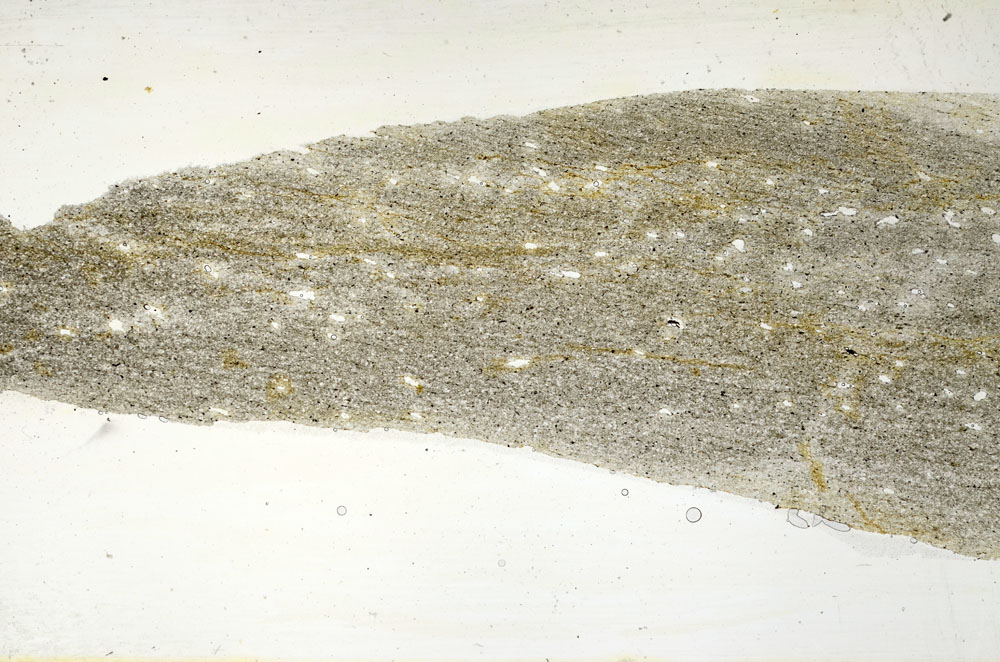 Plane Polarized, S89828
