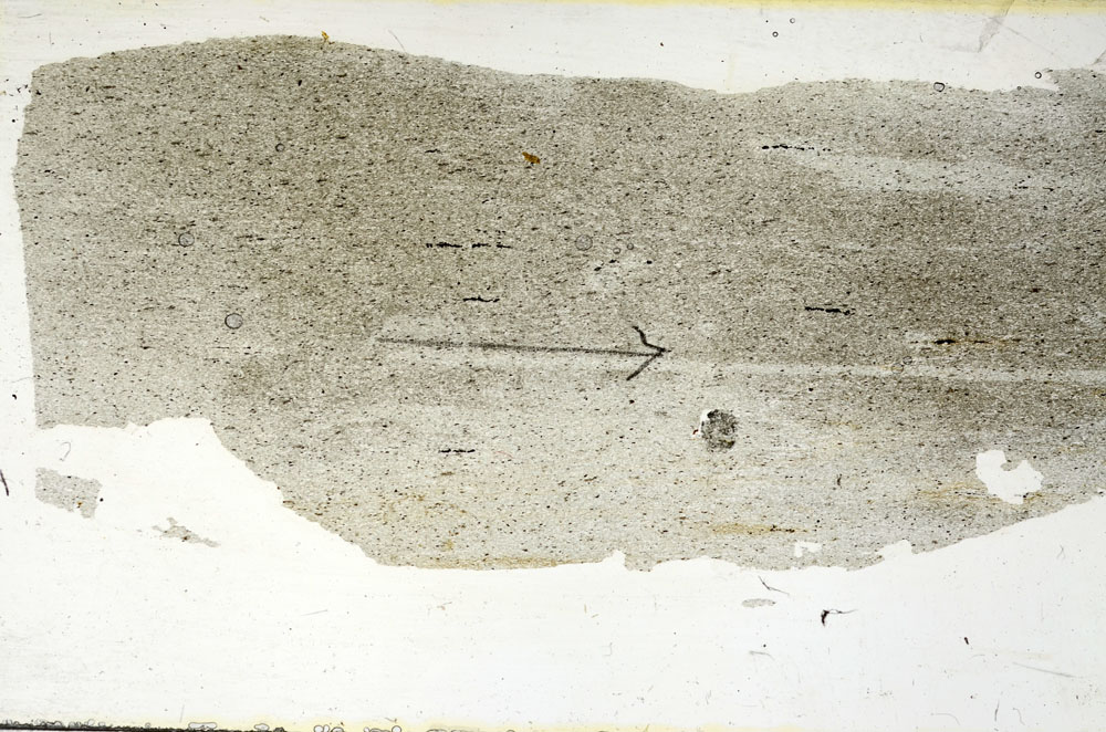 Plane Polarized, S89829