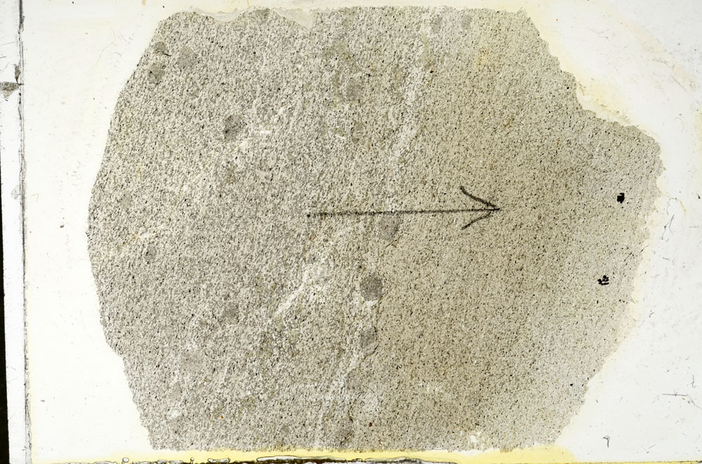 Plane Polarized, S89830