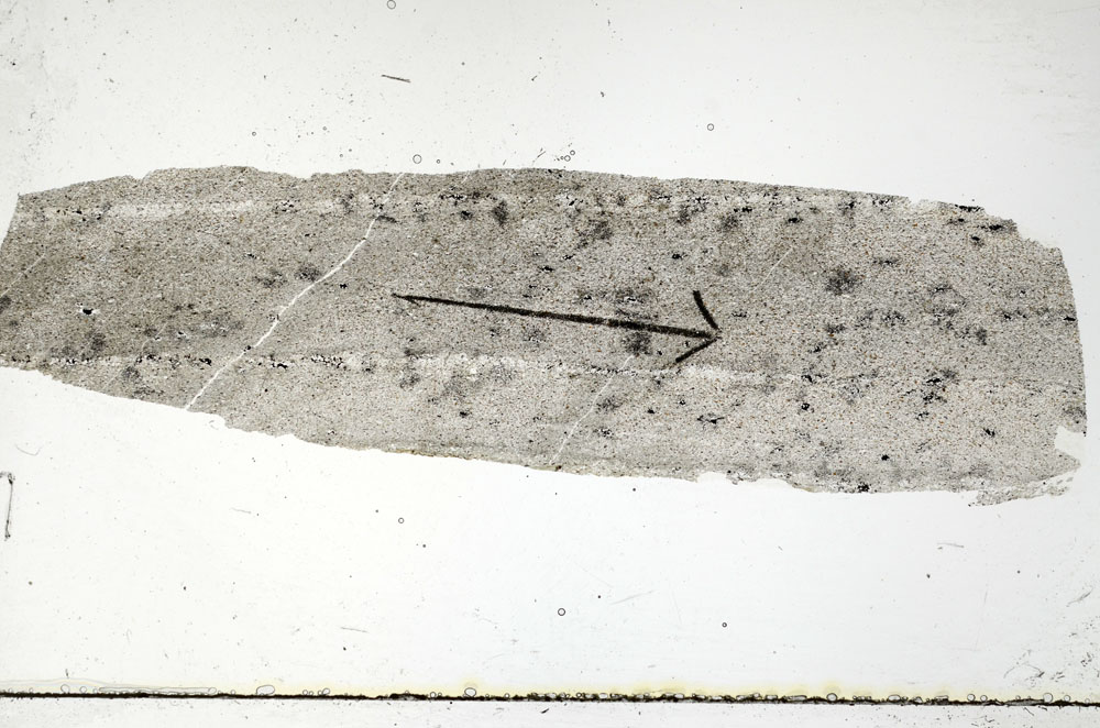 Plane Polarized, S89831