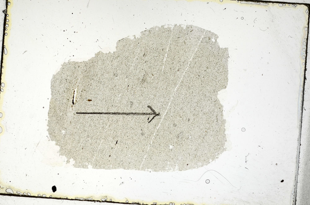 Plane Polarized, S89832