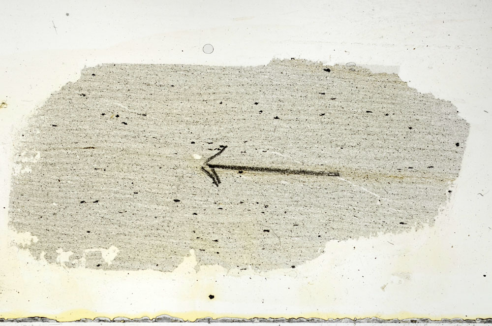 Plane Polarized, S89836