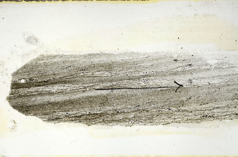 Plane Polarized, S89837