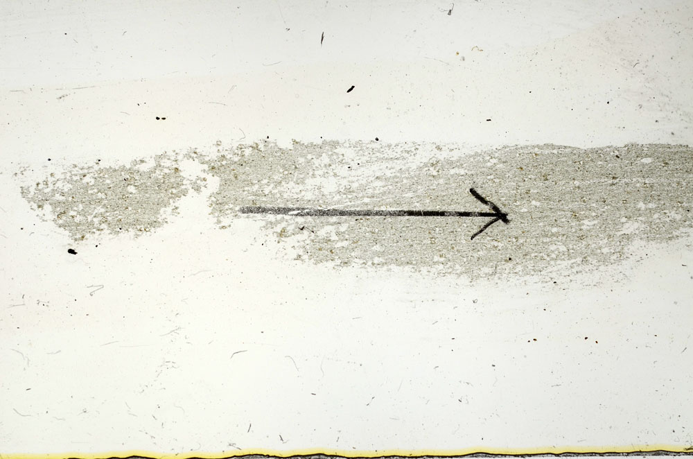 Plane Polarized, S89839