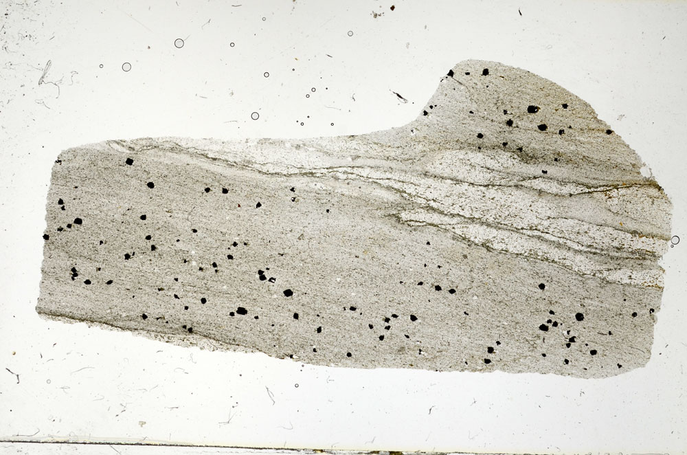 Plane Polarized, S89840