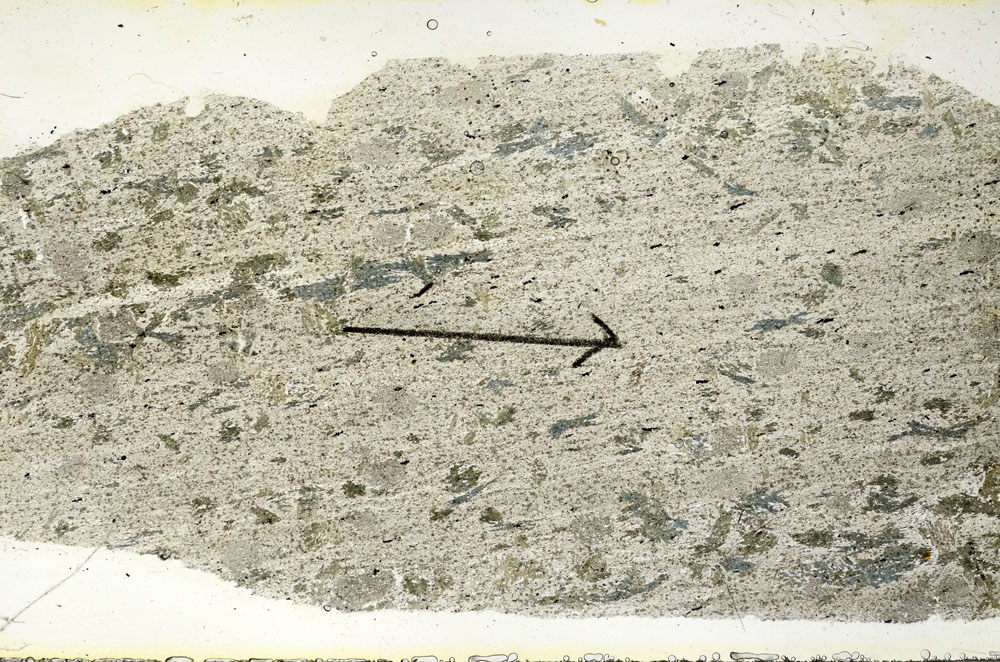 Plane Polarized, S89841