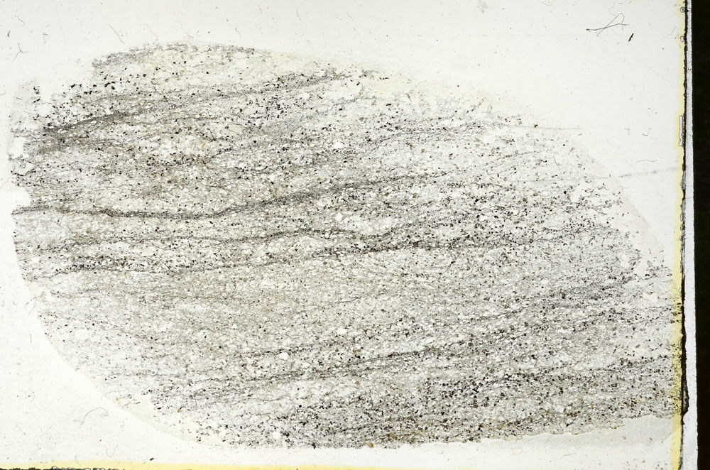 Plane Polarized, S89843