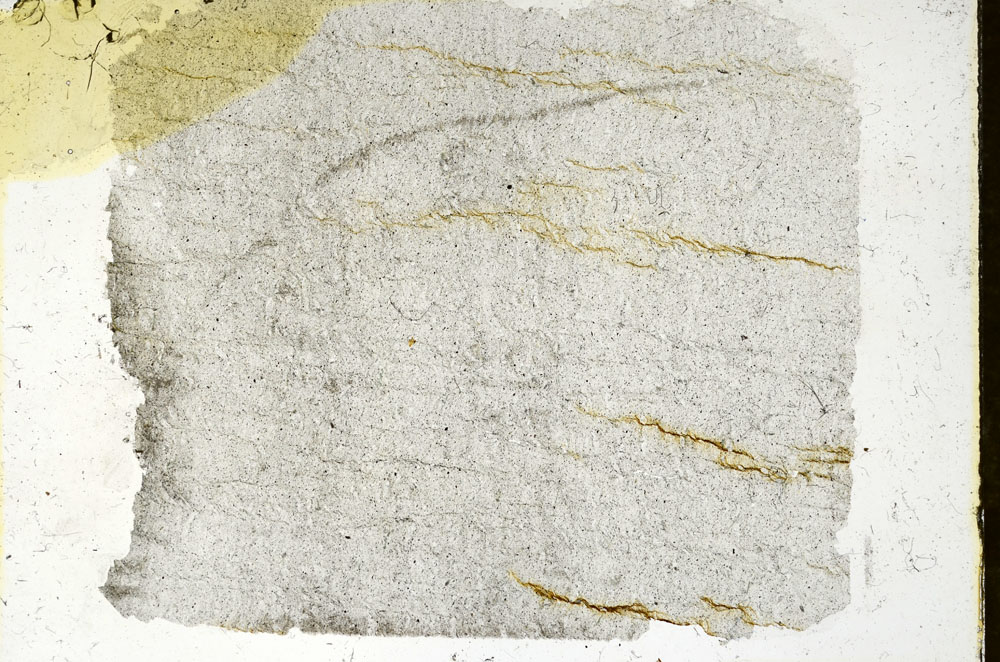 Plane Polarized, S89845