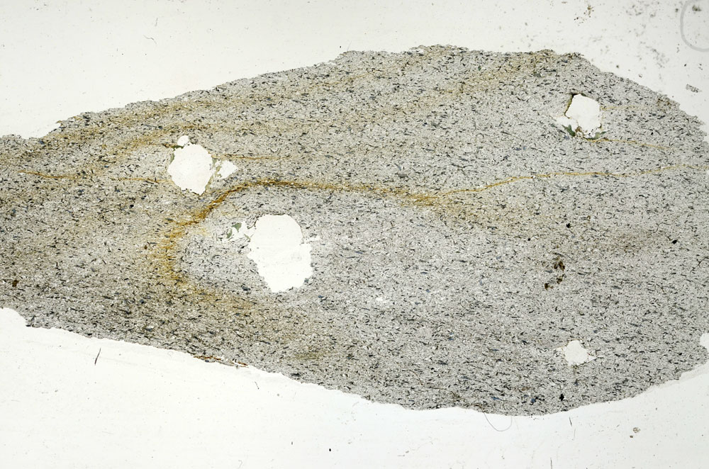 Plane Polarized, S89849