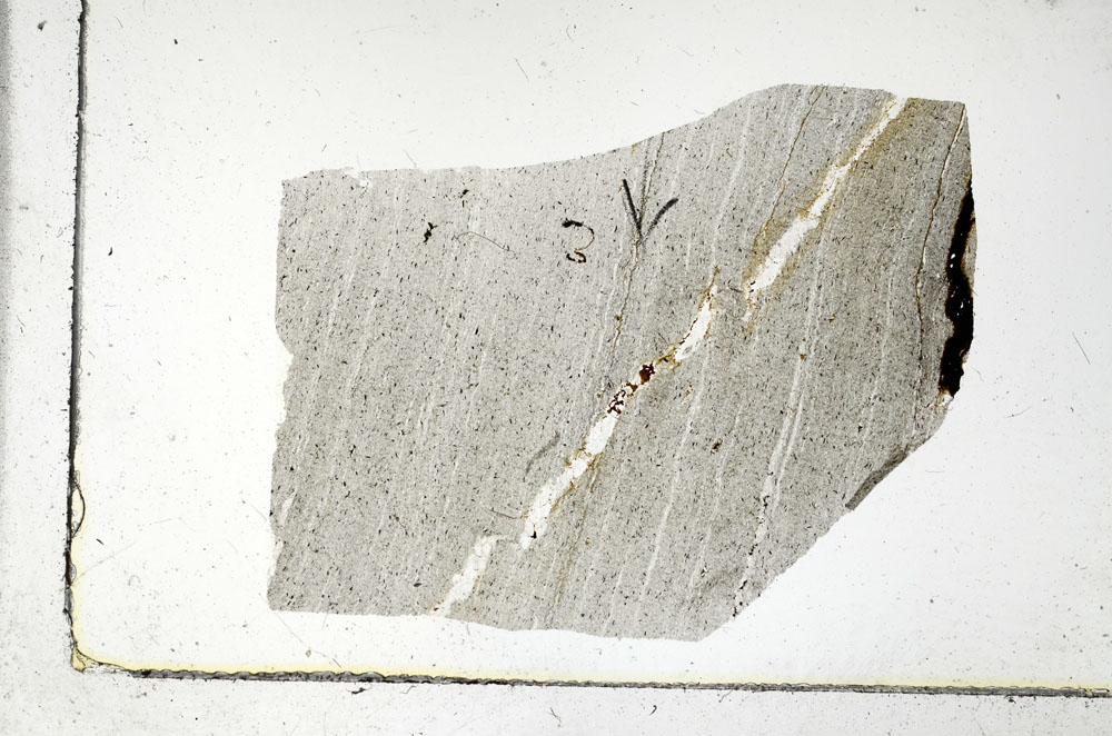 Plane Polarized, S89852