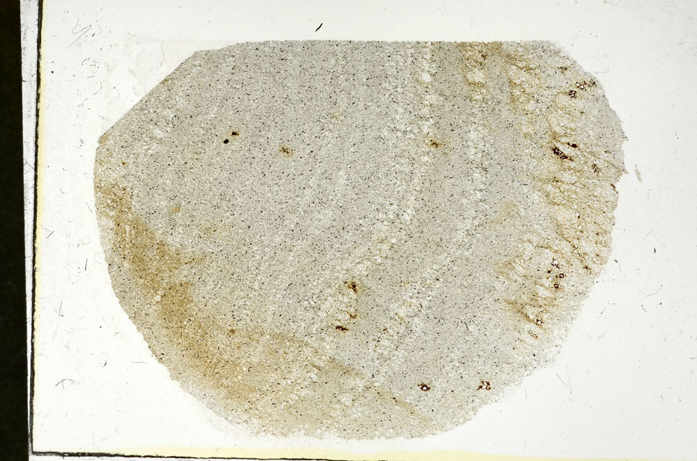 Plane Polarized, S89853