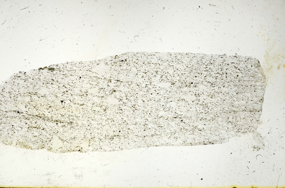 Plane Polarized, S89858