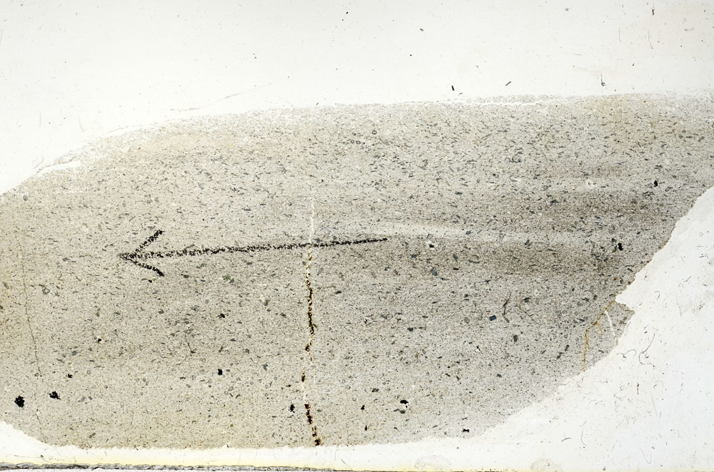 Plane Polarized, S89860