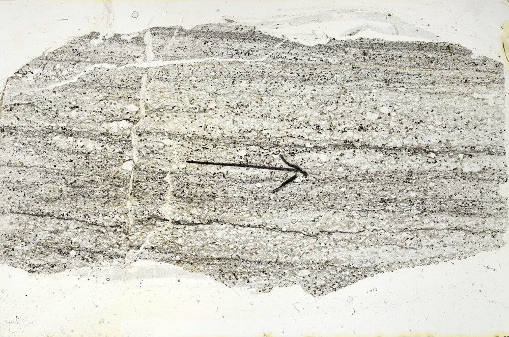 Plane Polarized, S89861