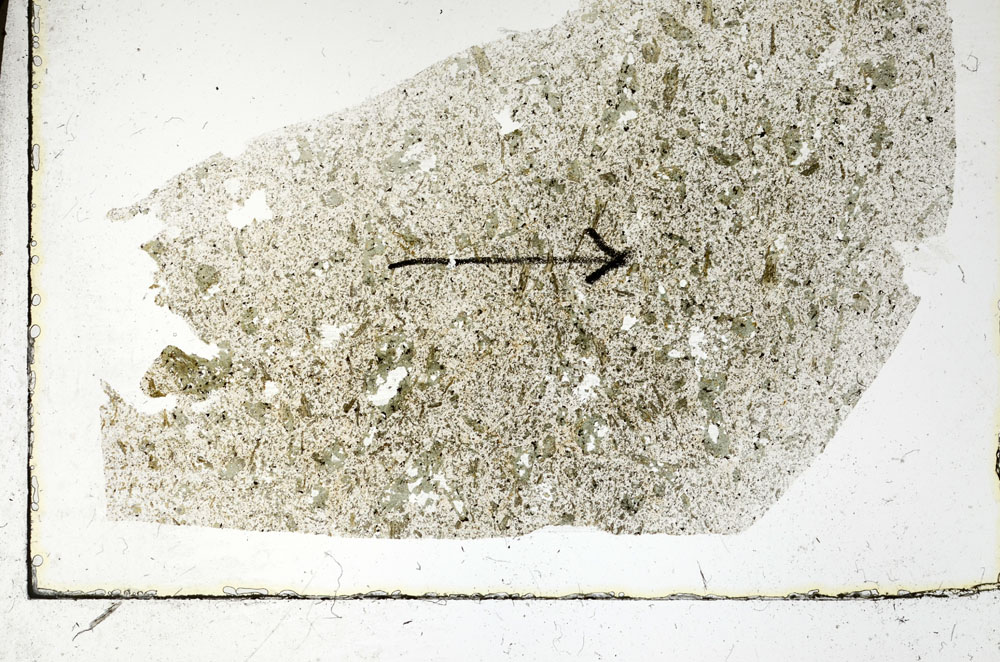 Plane Polarized, S89865