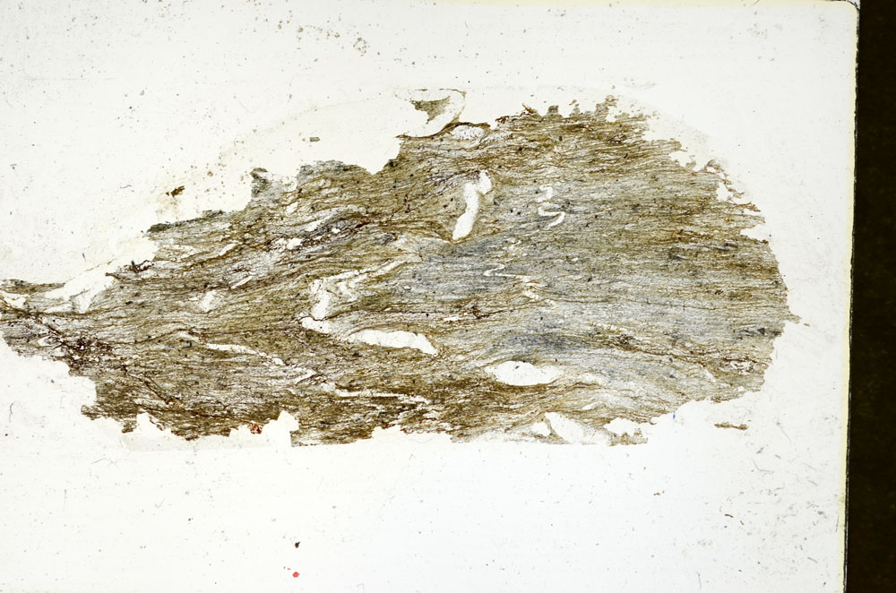 Plane Polarized, S89870