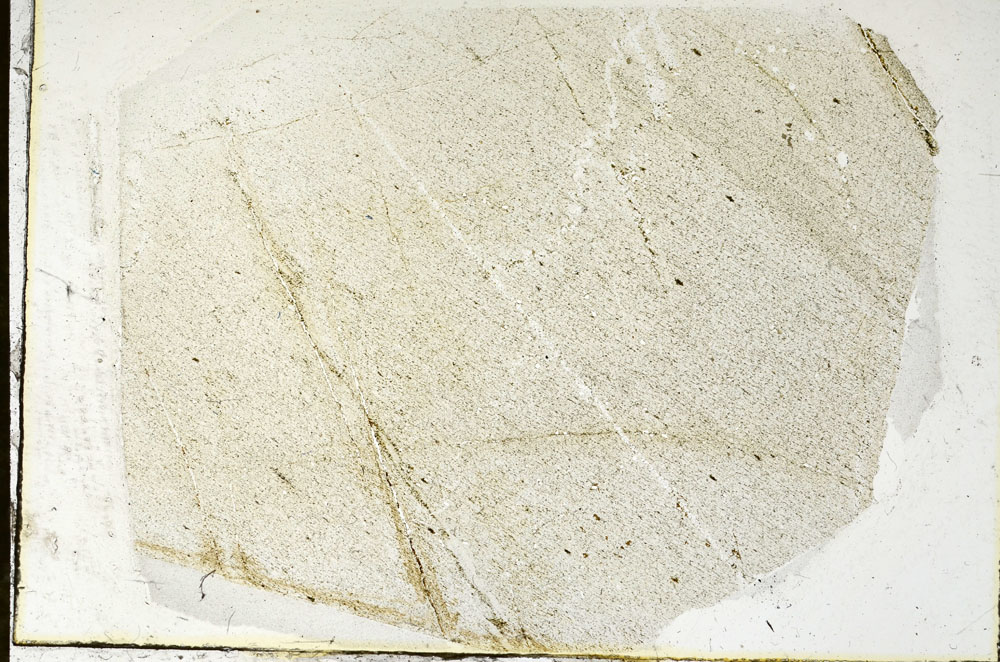 Plane Polarized, S89871