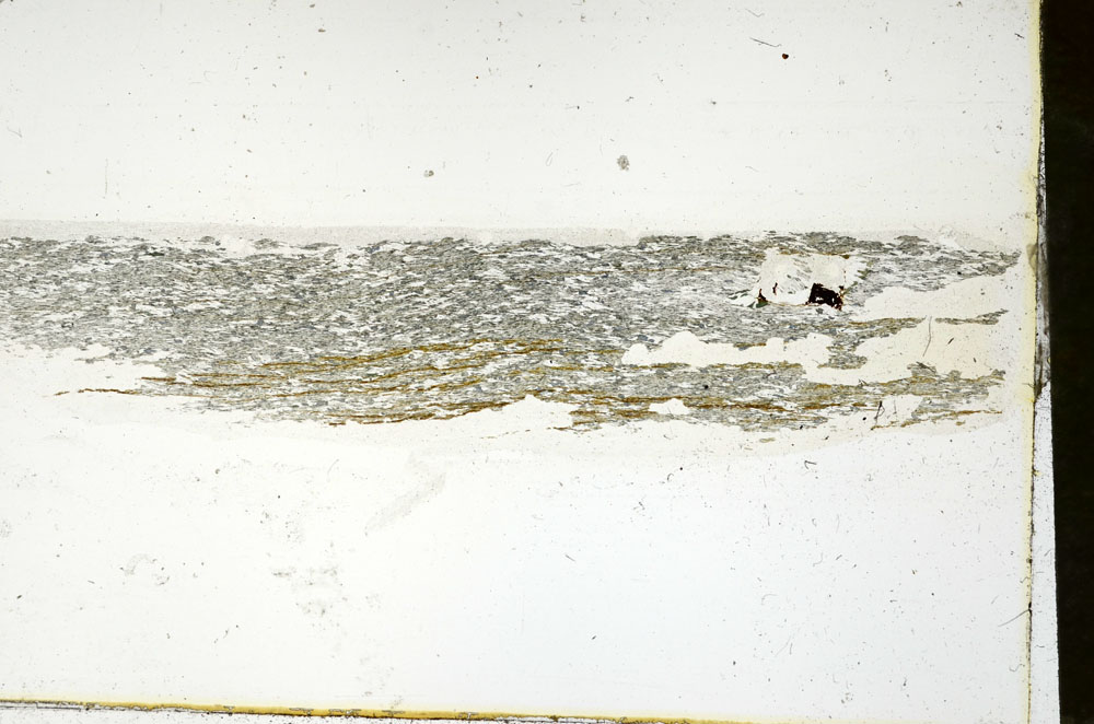 Plane Polarized, S89873